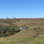 Foto da natureza no empreendimento Morada da Serra localizado no município Cruzeiro em São Paulo.