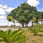 Paisagismo do empreendimento Mellucci localizado em Itápolis no estado de São Paulo.