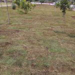 Foto da área verde do empreendimento Alto Santo Antônio localizado em São Tiago no estado de Minas Gerais.